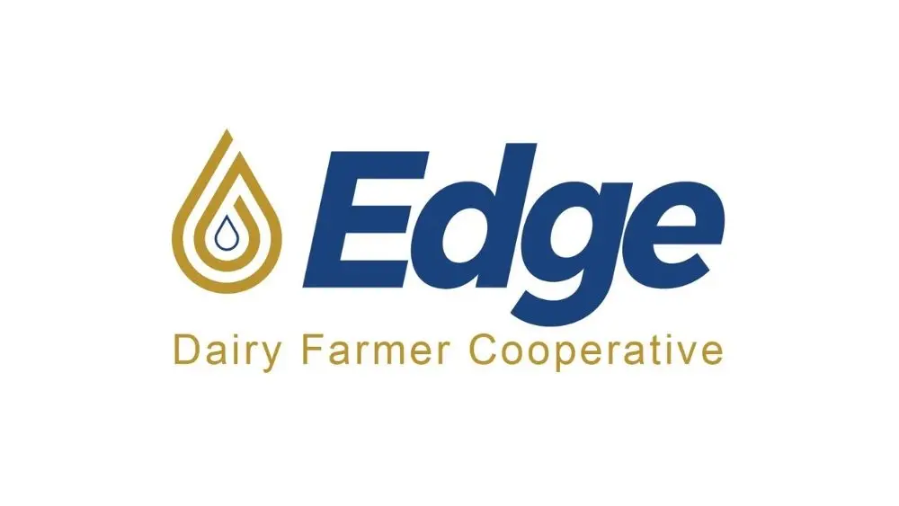 web-photo-template-onecms-1000-x-563-px-26-4