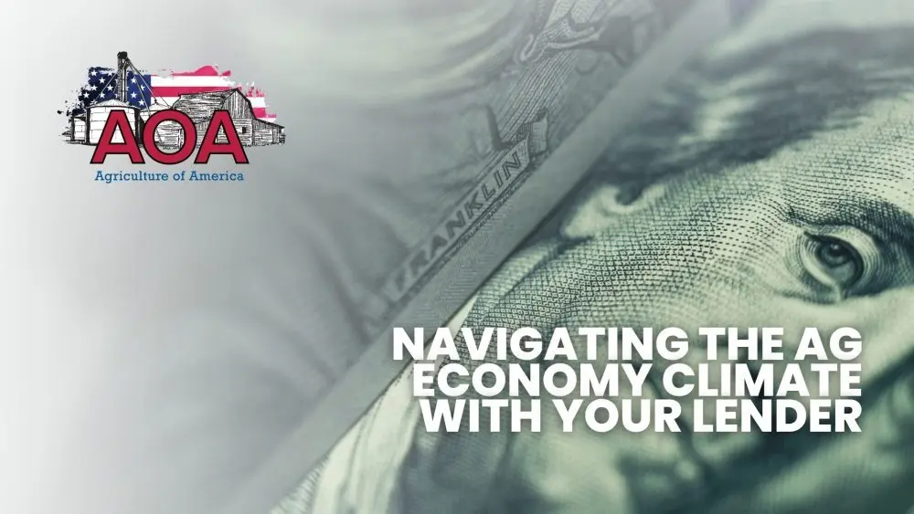 merchants-bank-aoa-youtube-thumbnail-1000x563178796-1