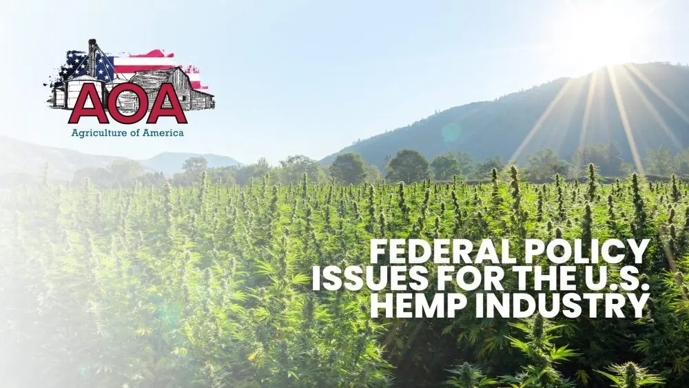 hemp-aoa-youtube-thumbnail-1000x563796344-1