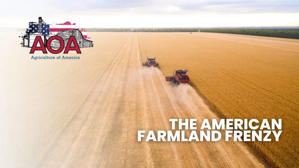 saunders-aoa-youtube-thumbnail-1000x563975717-1