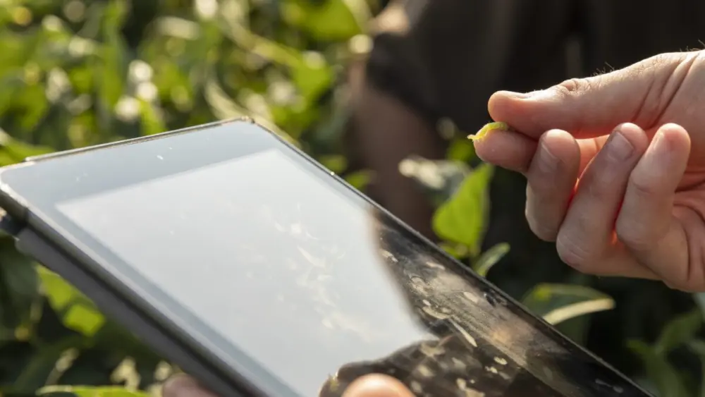 ipad-and-insect_48744013707_o