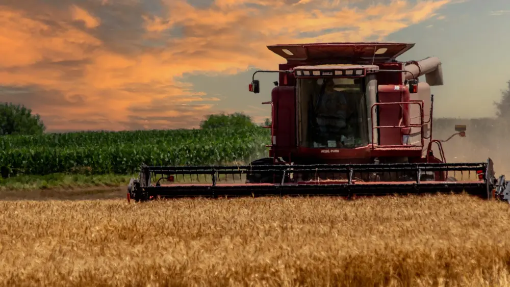 wheat-harvesting