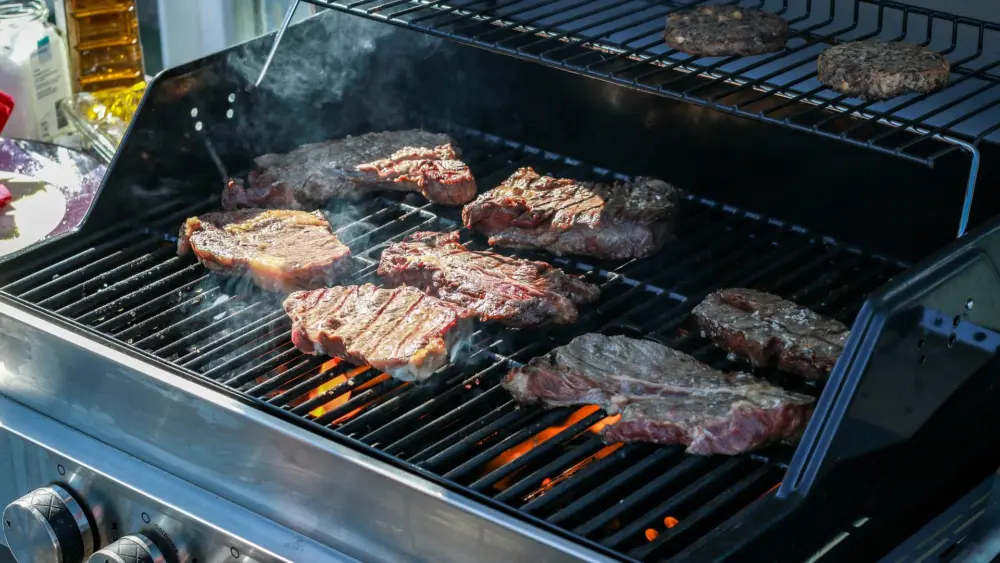 ramillu-bbq-825711_1920