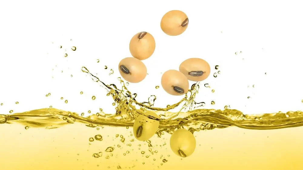 Soybeans and Bean Oil Lead; Other Markets Mixed Thursday