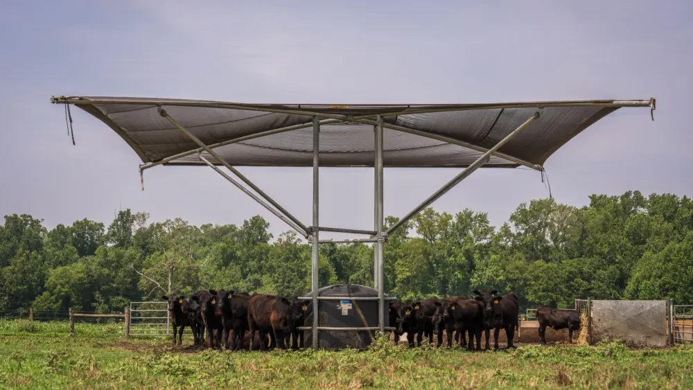 pexels-nc-farm-bureau-mark-27207615