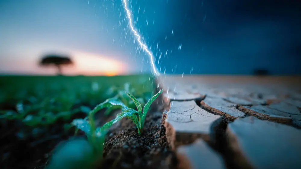 Will August Weather Be as Wild as July?