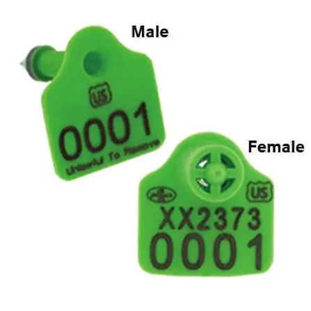scrapie-ear-tag