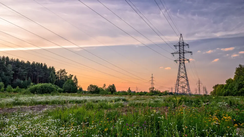 high-voltage-power-line-in-flower-meadow