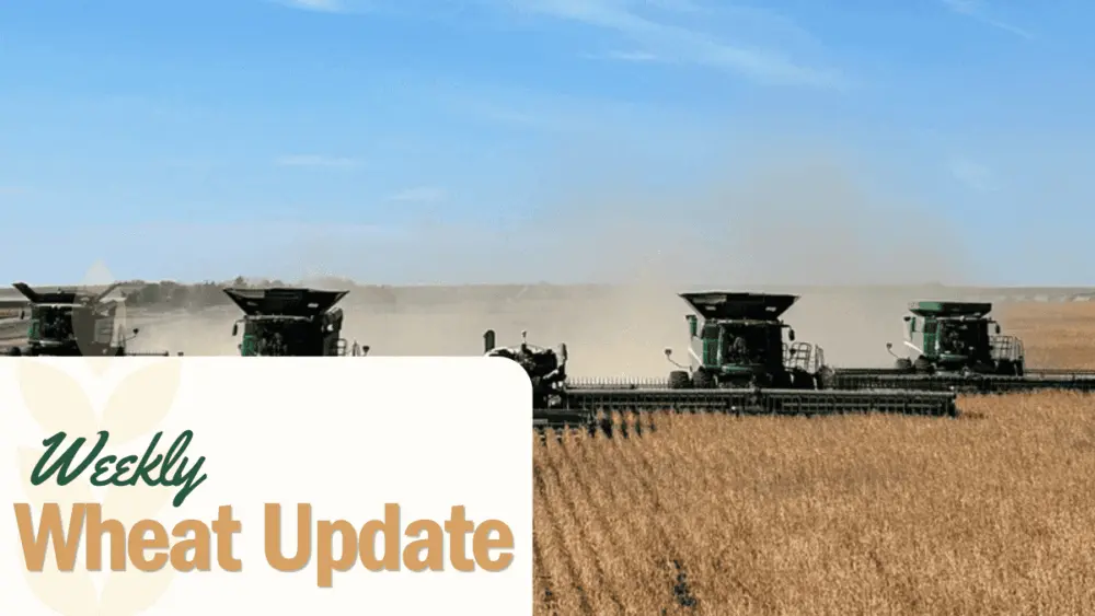 wheat-update-nd