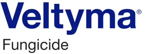 veltyma-2-e1763668784149