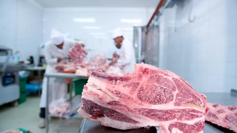 large-raw-wagyu-beef-from-a-meat-processing-packaging-factory-in-japan