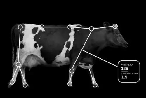 herd-i