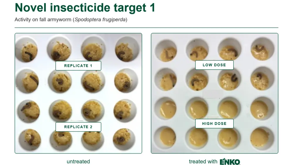 insecticide-target-1