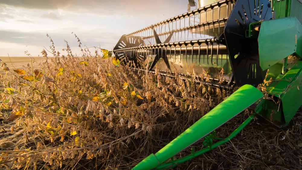 harvesting-of-soybean-field