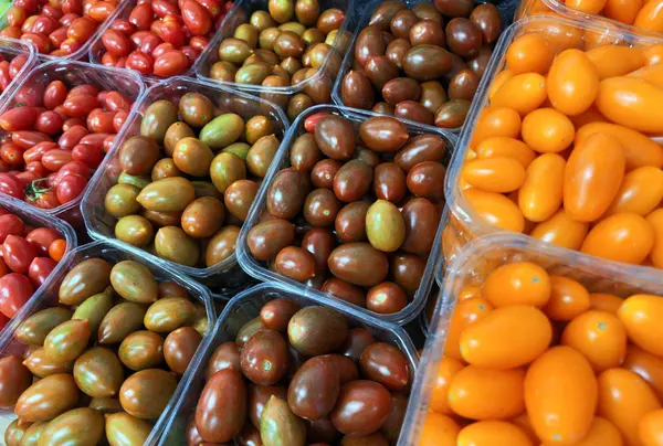 bin-of-tomatoes