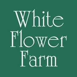 290873234_10159882827888164_641017743974586742_n