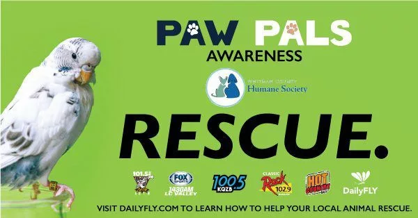 pawpals_rescue