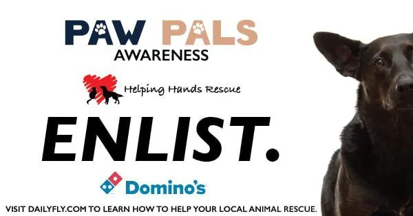 pawpals_dominos