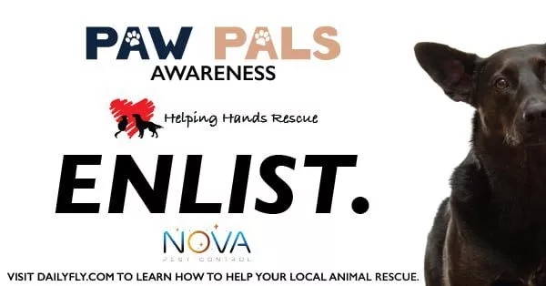 pawpals_nova