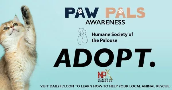 pawpals_adopt