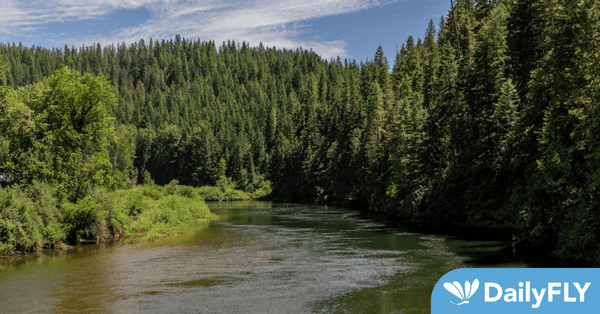 untitled-design-2023-02-02t084129-270