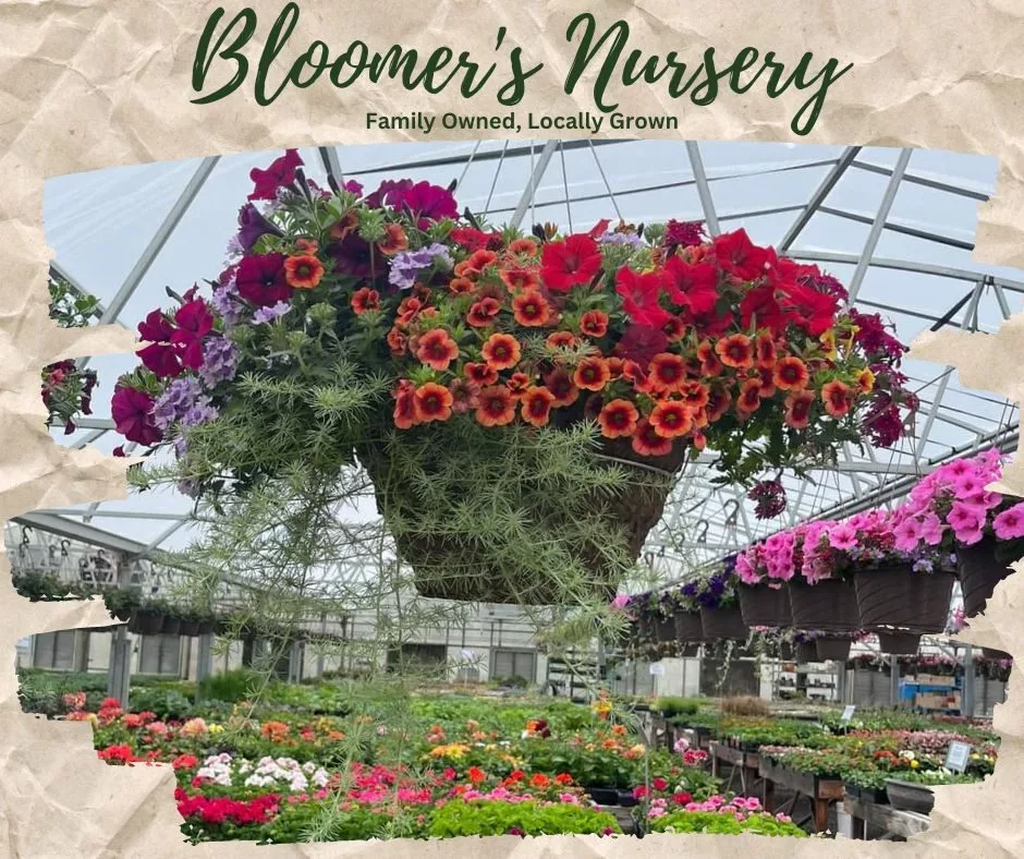 hanging-baskets