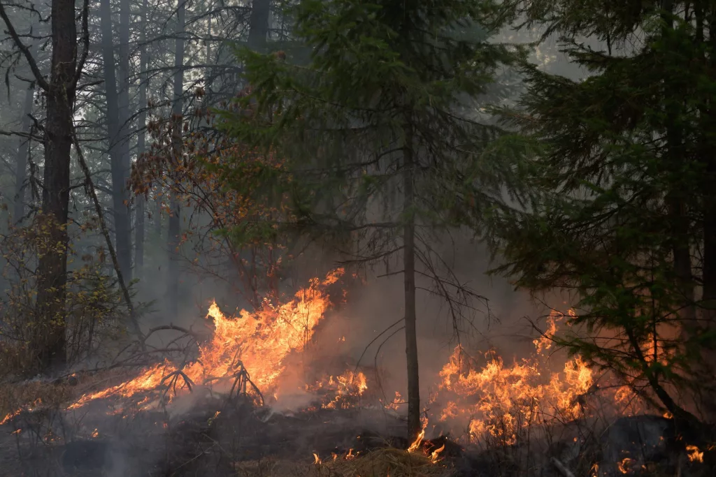 university-of-idaho-experimental-forest-college-of-natural-resources