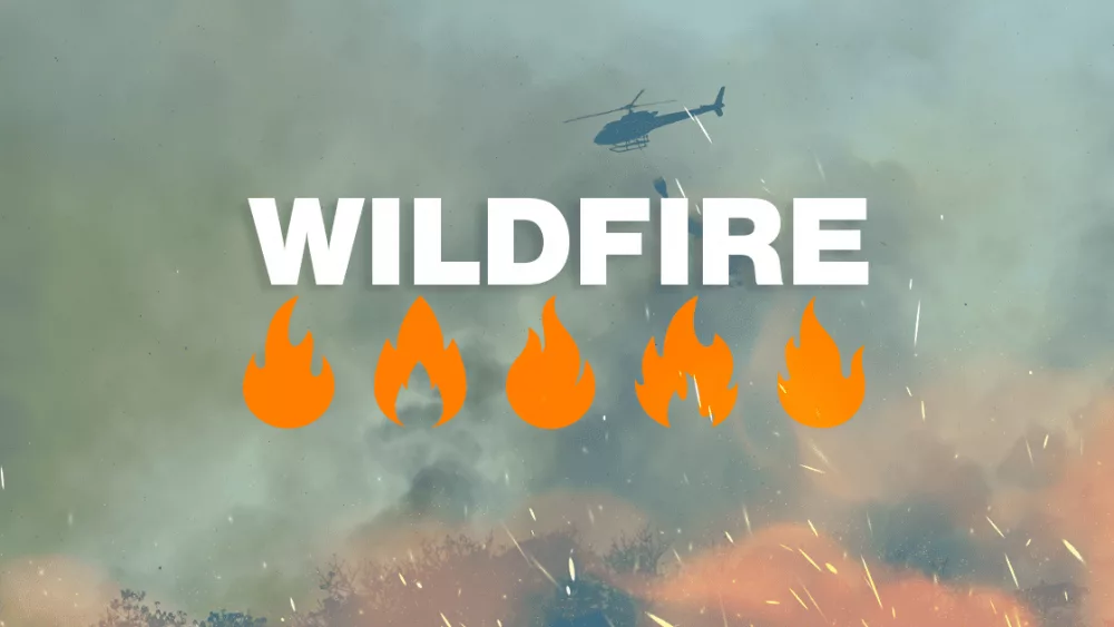 wildfire