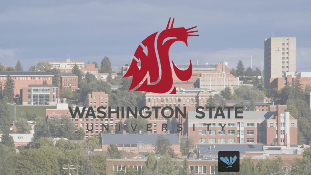 WSU