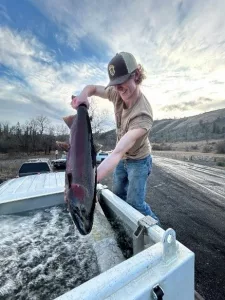 Hatchery truck-S. Fork Broodstock