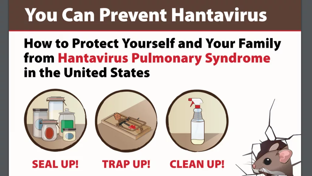 CDC Hantavirus Brochure - https://www.cdc.gov/hantavirus/media/pdfs/2025/01/HantavirusBrochure-508.pdf