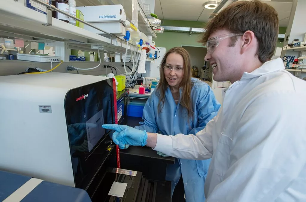 Brayden Olsen, right, an undergraduate microbiology student, works in a research lab as Heather Koehler, left, an assistant professor in the School of Molecular Biosciences, looks on. (College of Veterinary Medicine/Ted S. Warren).