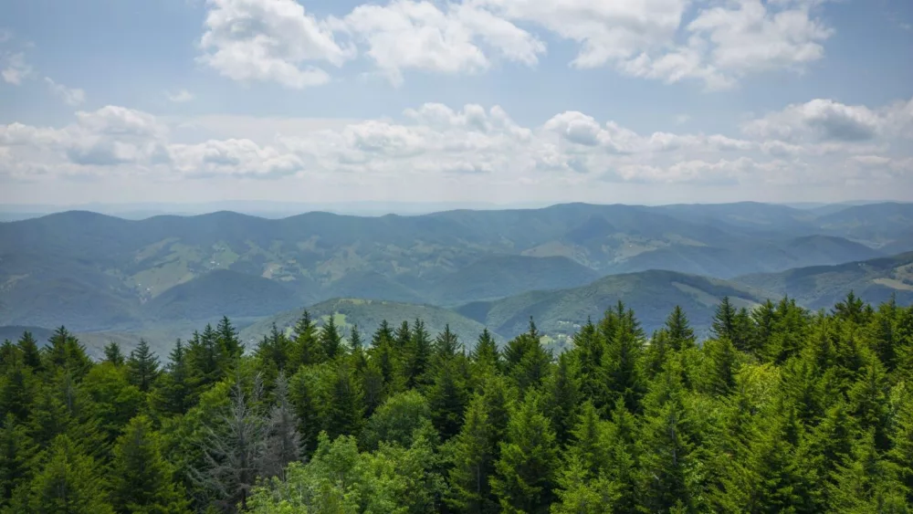 At 4,863 feet above sea level, Spruce Knob, on the Monongahela National Forest, is West Virginia’s highest peak. (Courtesy of Preston Keres/U.S. Department of Agriculture)