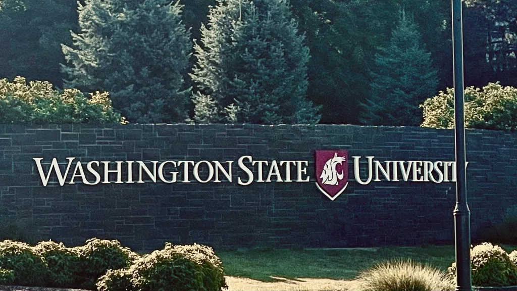 Washington State University, WSU