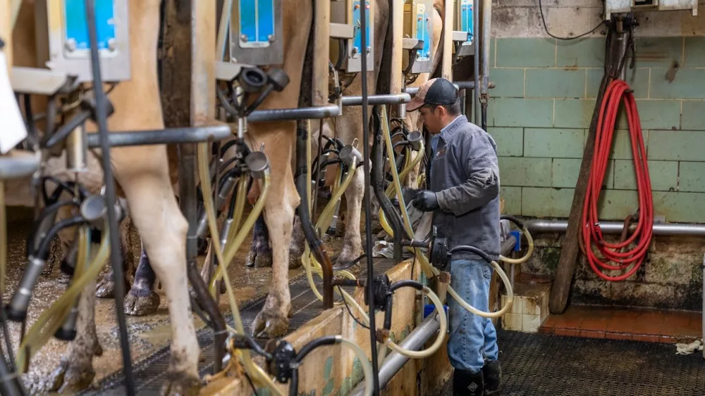 Dairy Farm - Photo by Mark Stebnicki