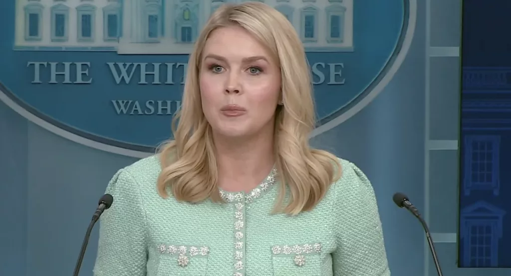 White House Press Secretary Karoline Leavitt speaks during a news briefing on Tuesday, March 11, 2025. White House