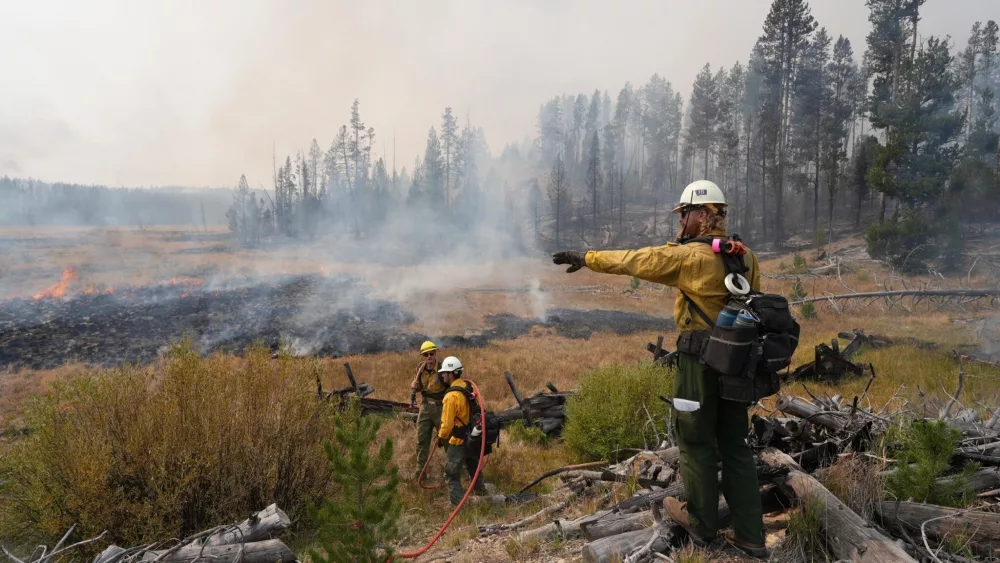 Firefighter in Idaho