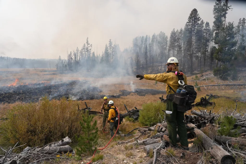 Firefighter in Idaho