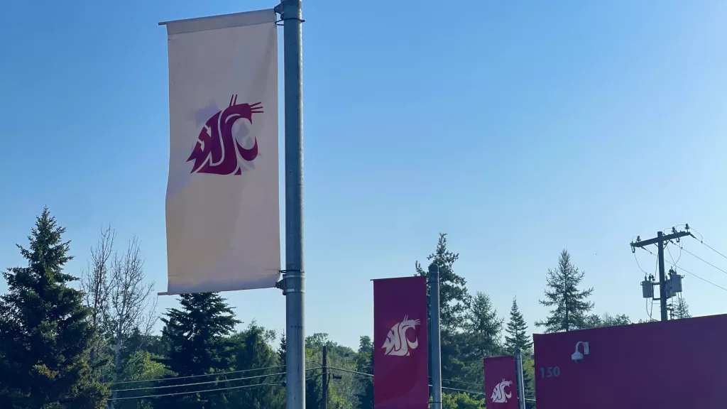 WSU