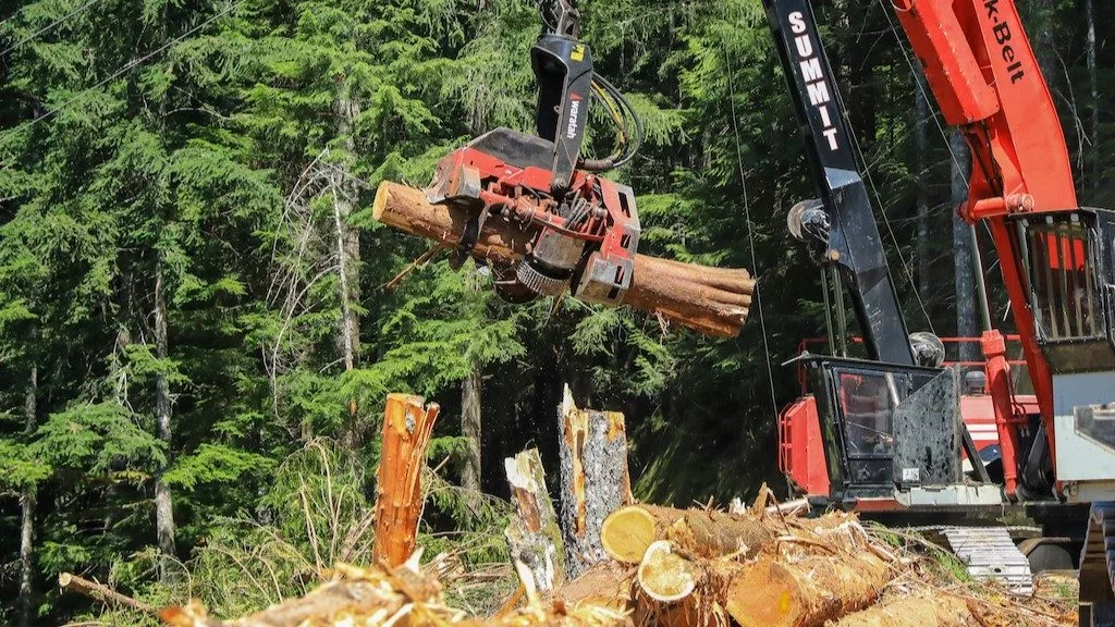 A harvester crane processes a log on a thinning project in the Mount Baker-Snoqualmie National Forest. The project was led by the Washington State Department of Natural Resources, the result of growing efforts by state agencies to conduct work on federal land. President Donald Trump’s plans to increase logging on federal lands will depend heavily on states’ cooperation, experts say. (Courtesy of Washington State Department of Natural Resources)