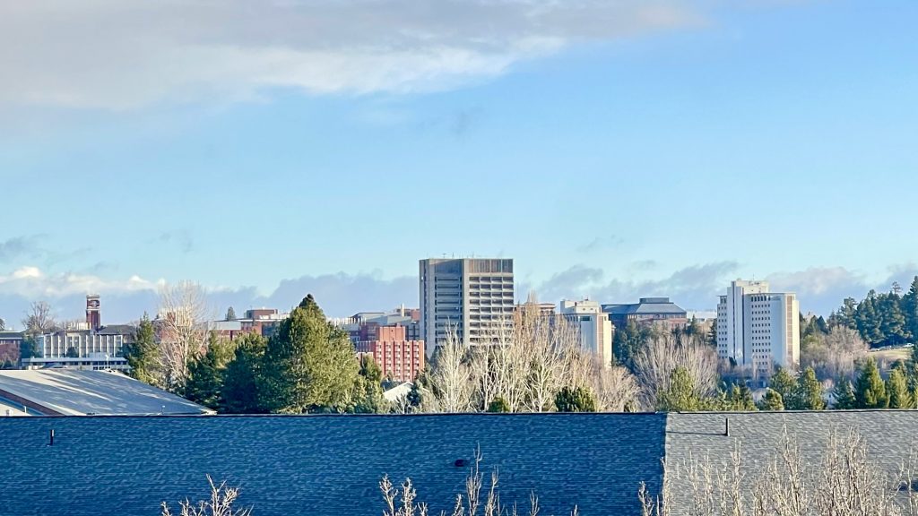Ace Hardware Returning To Pullman At Former Lumberyard Property-Opening Planned ...
