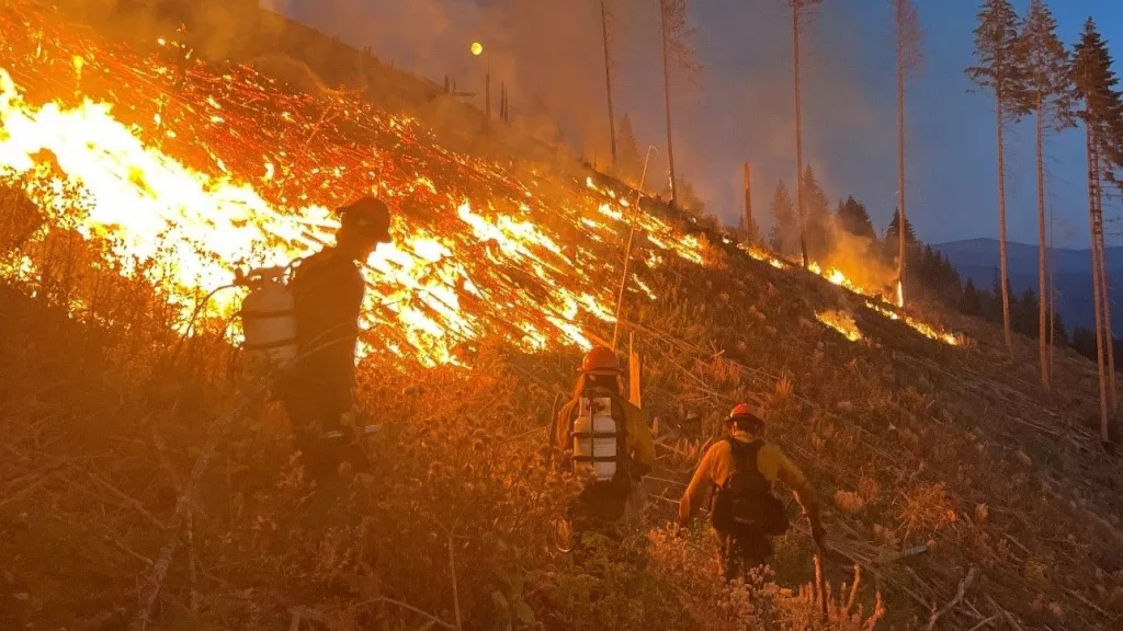 Prescribed Burn/Fire