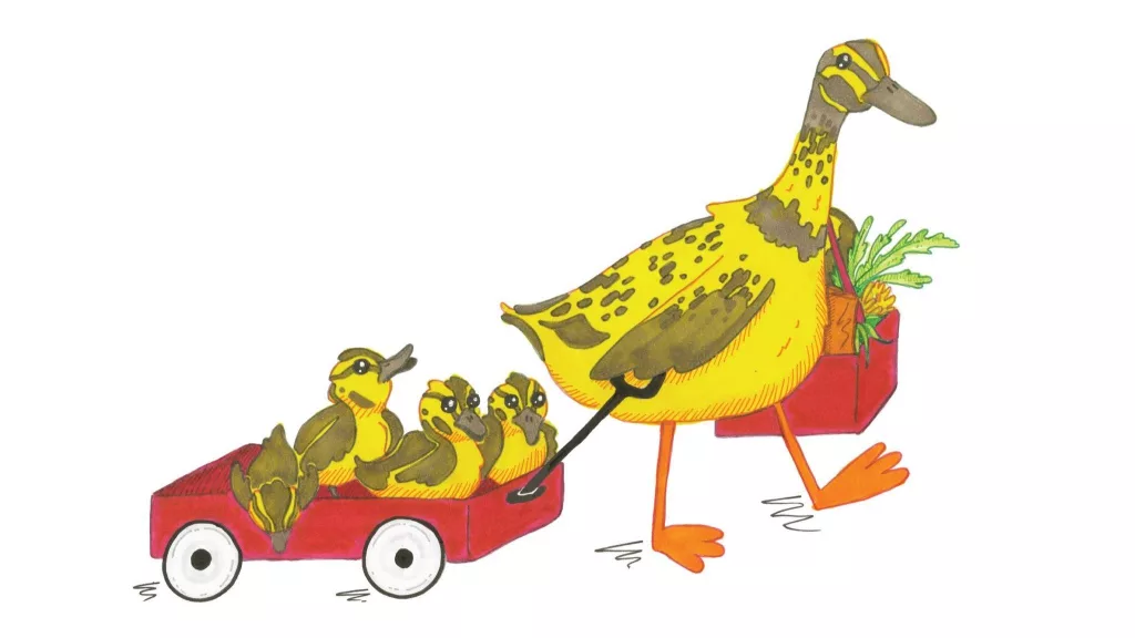 Mama and Ducklings Go to the Market by Kieran Heywood