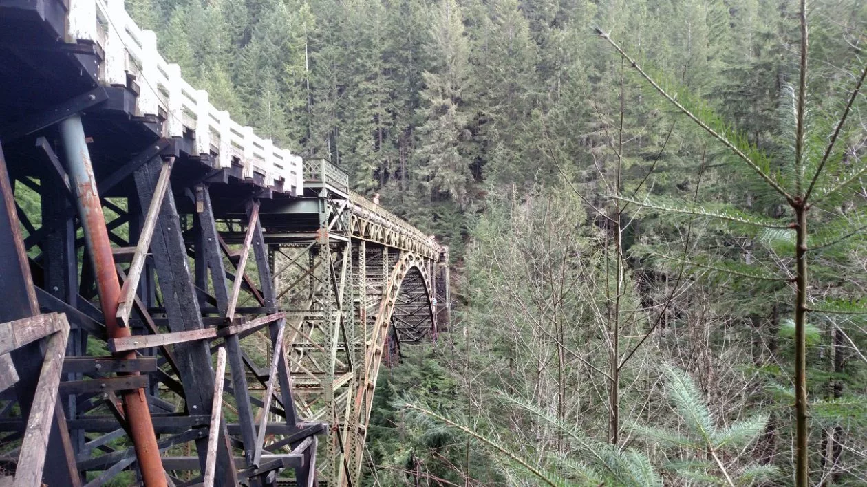 Carbon River/Fairfax Bridge