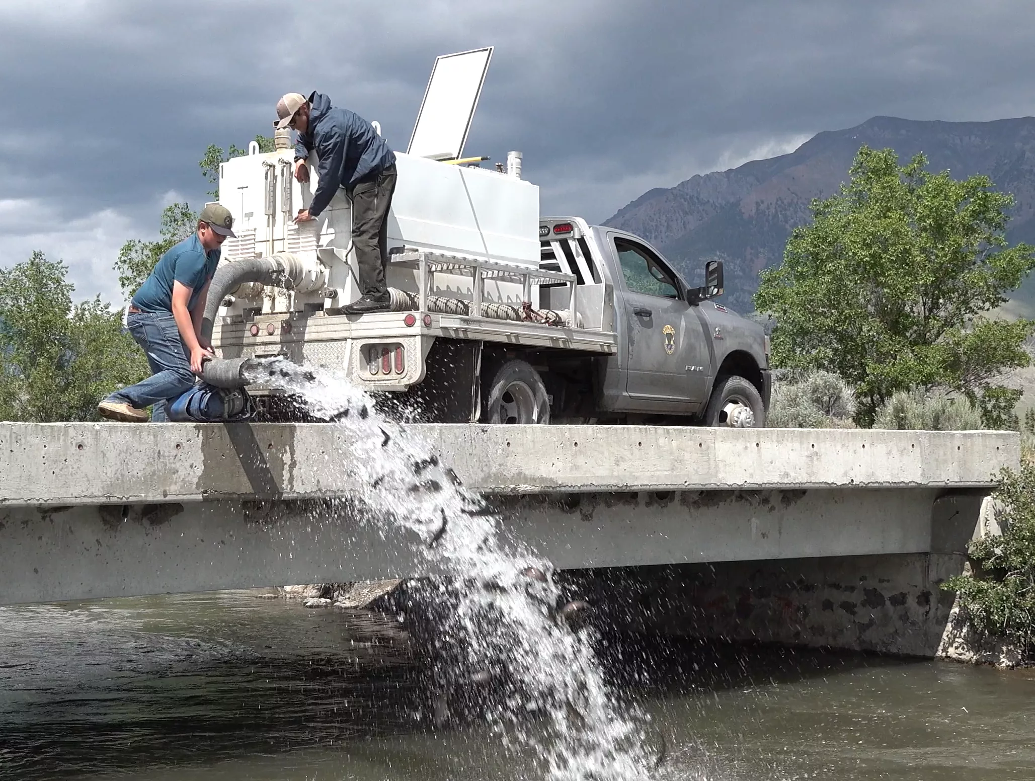 May trout stocking schedule for the Clearwater Region