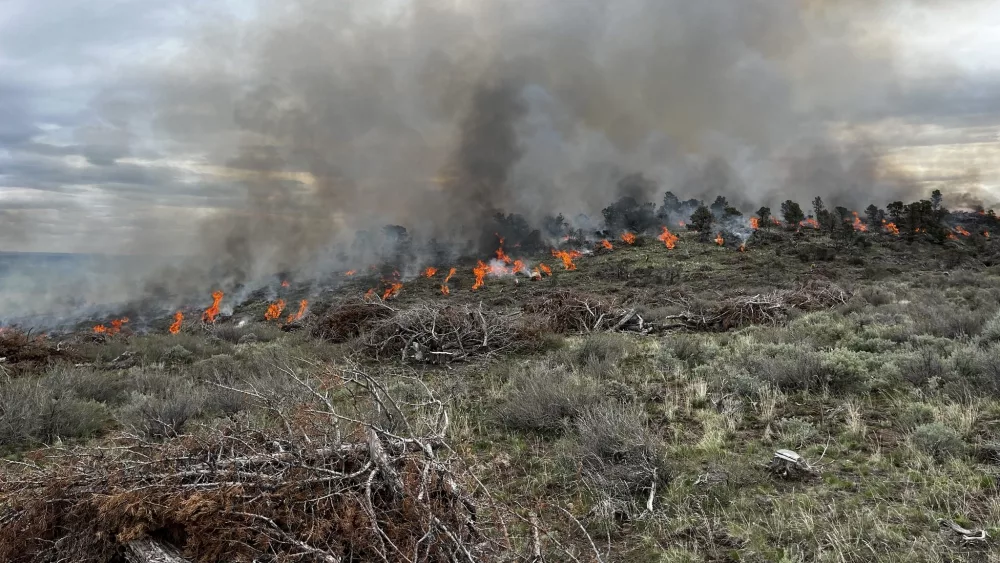 BLM Idaho fire