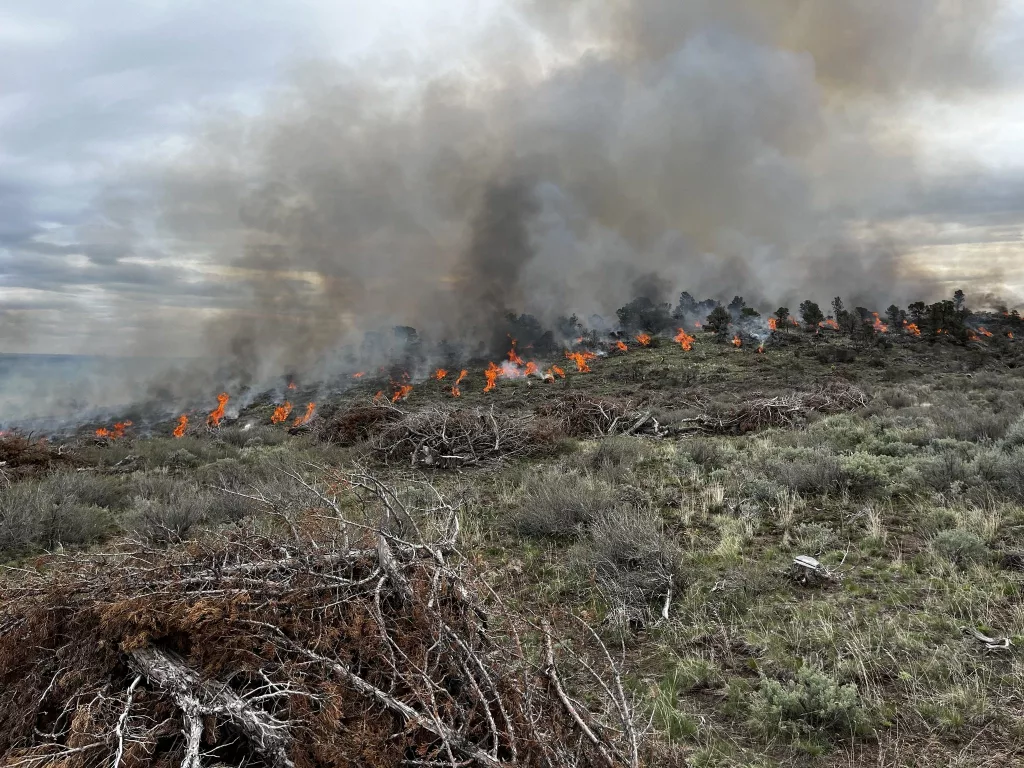 BLM Idaho fire