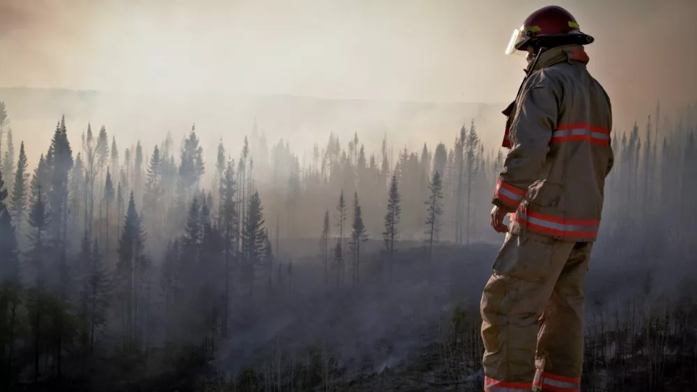 Photo by IslandHopper X: https://www.pexels.com/photo/fireman-in-uniform-looking-at-forest-after-fire-14840720/