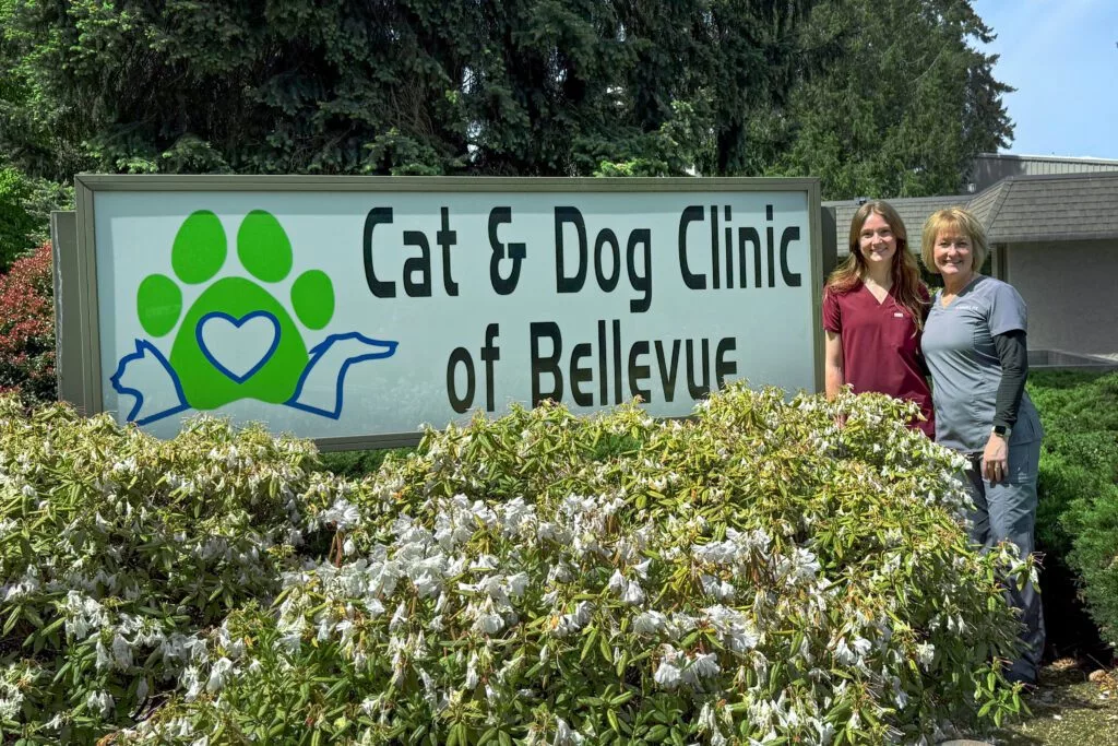 Tori Wallingford, Tori, left, a third-year student in WSU’s College of Veterinary Medicine, poses for a photo with her mother, Deborah Wallingford, right, who is a veterinarian at the Cat & Dog Clinic of Bellevue, on Tuesday, May 6, 2025, in Bellevue, Wash. (College of Veterinary Medicine/Courtesy Tori Wallingford)