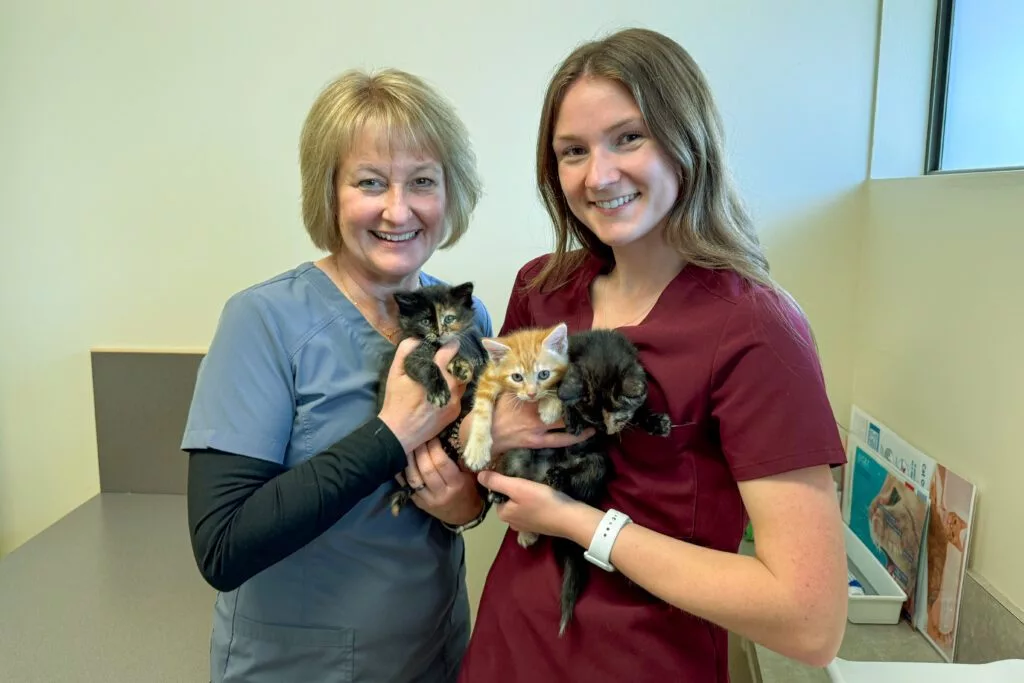Tori, right, a third-year student in WSU’s College of Veterinary Medicine, poses for a photo with her mother, Deborah Wallingford, left, who is a veterinarian at the Cat & Dog Clinic of Bellevue, on Tuesday, May 6, 2025, in Bellevue, Wash. (College of Veterinary Medicine/Courtesy Tori Wallingford)